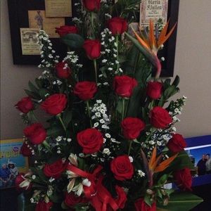 Meet your Posher, Laura